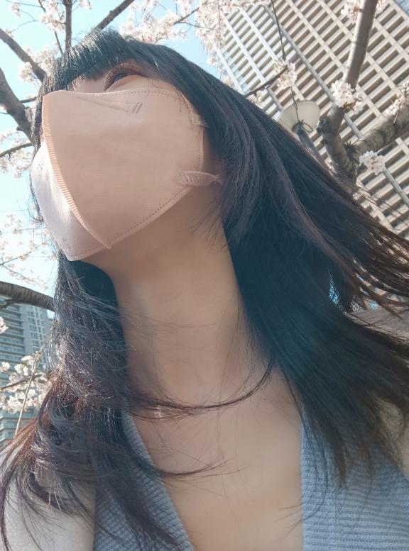 「ましろ」の写真