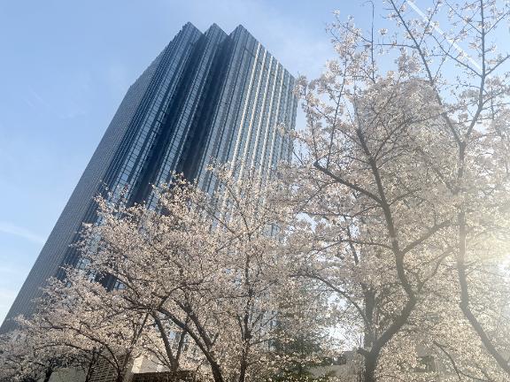 「あゆ」の写真