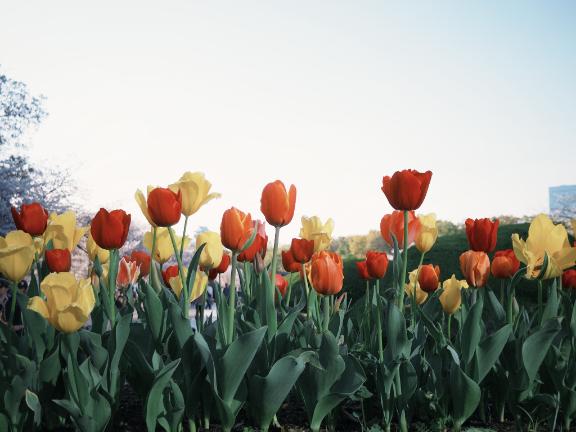 「あすか」の写真