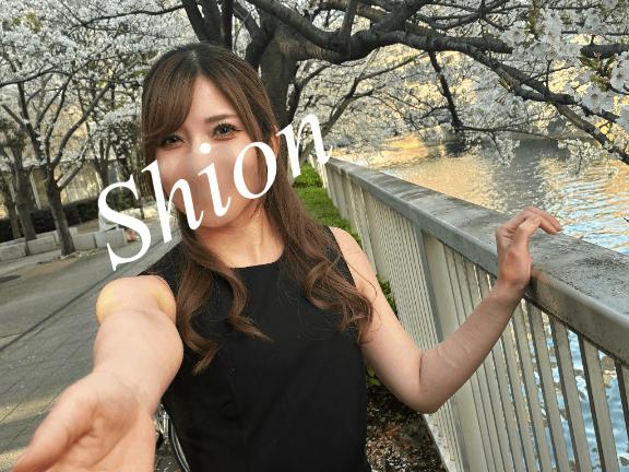 「紫苑（しおん）」の写真