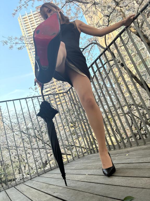 「紫苑（しおん）」の写真