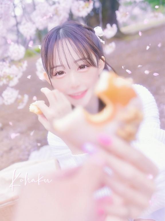 「こはく」の写真