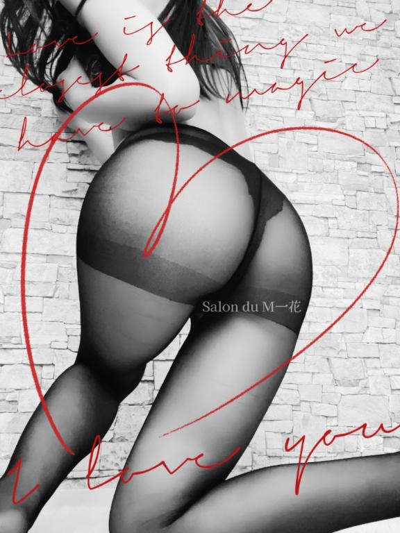 「一花」の写真