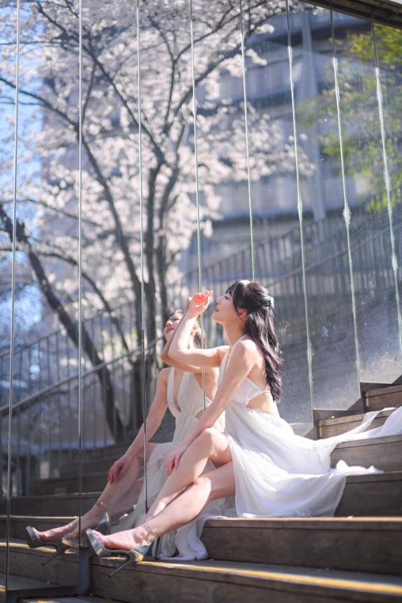 「岸えり」の写真