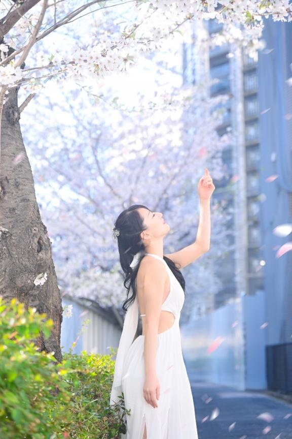 「岸えり」の写真