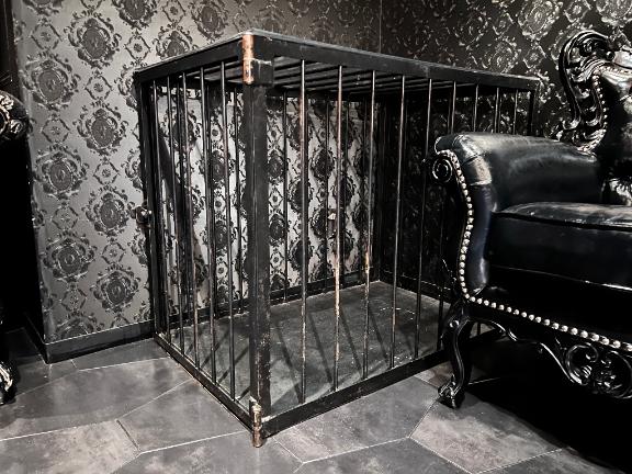 「ゆきえ」の写真