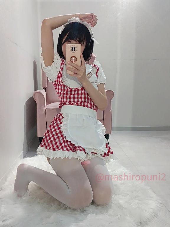 「ましろ」の写真