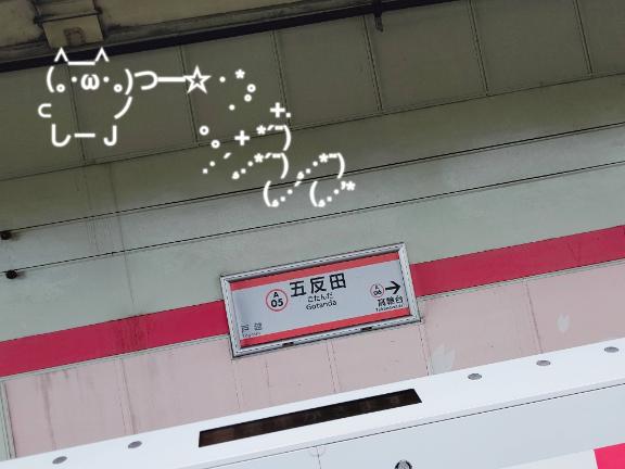 「ことり」の写真