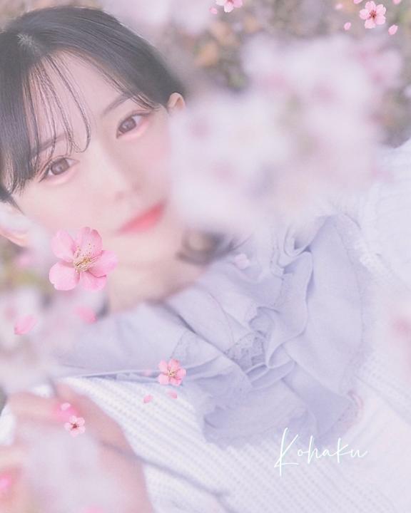 「こはく」の写真