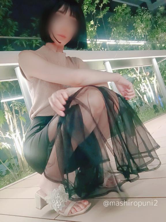 「ましろ」の写真