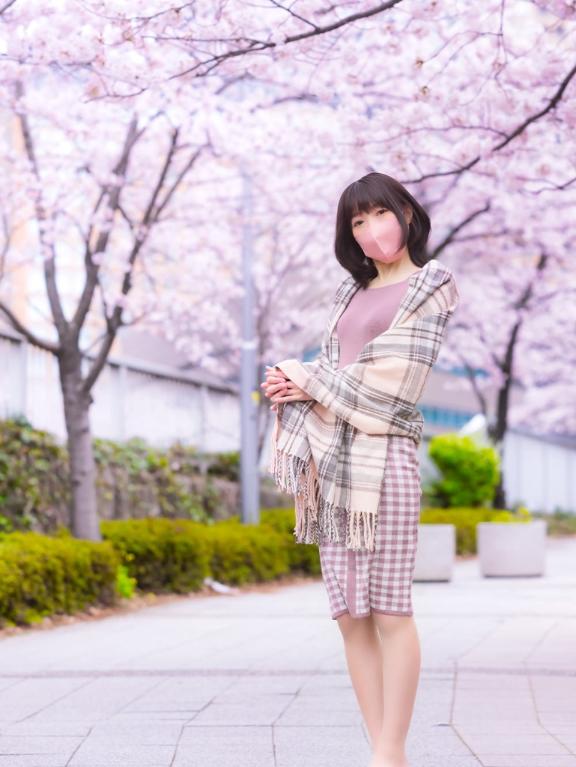 「ましろ」の写真