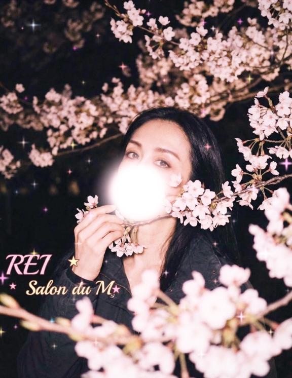 「れい」の写真