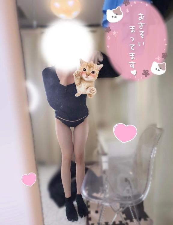 「しの」の写真