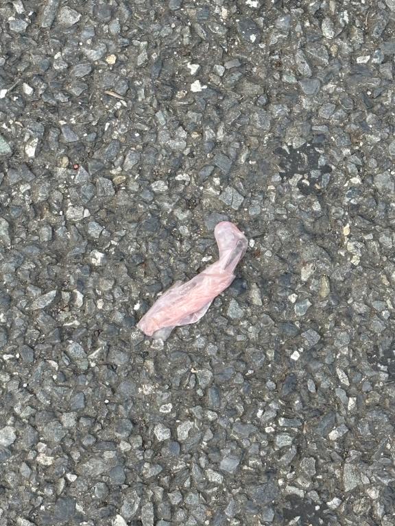 「ゆきえ」の写真