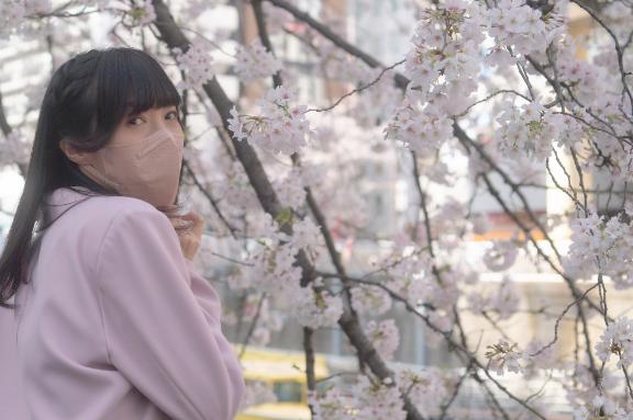 「ましろ」の写真