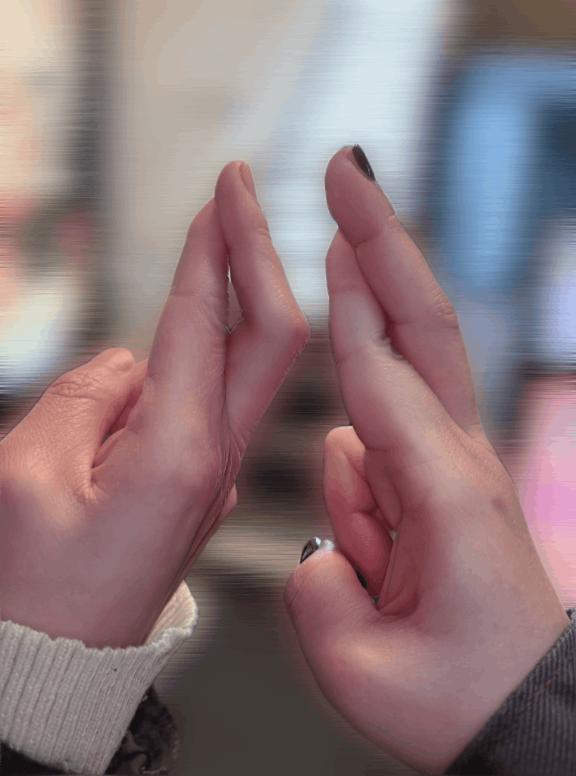 「みずき」の写真