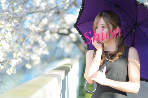 「紫苑（しおん）」の写真