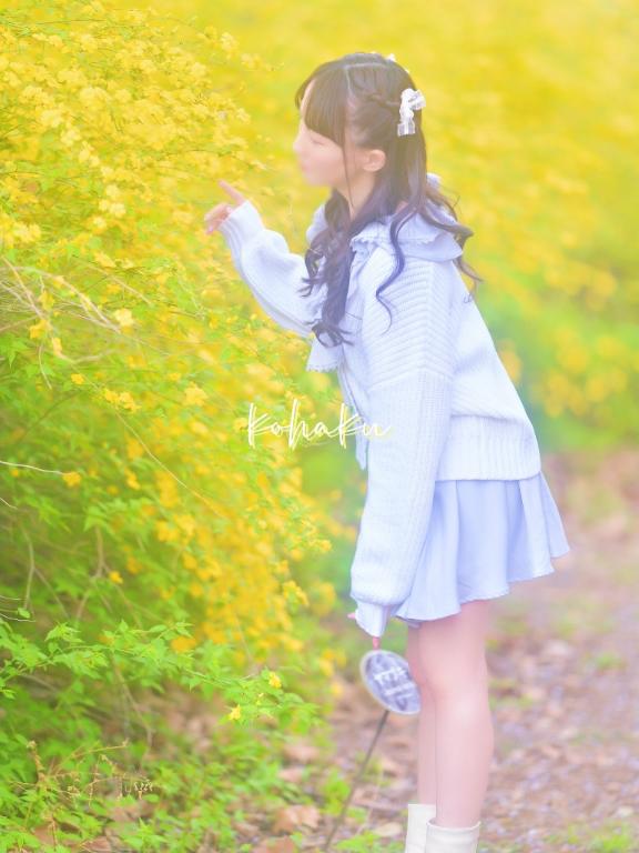 「こはく」の写真