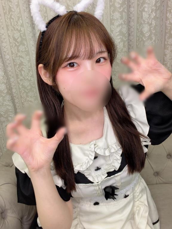 「ひかり」の写真