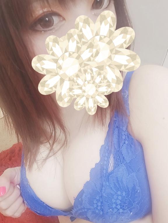 「あおい」の写真