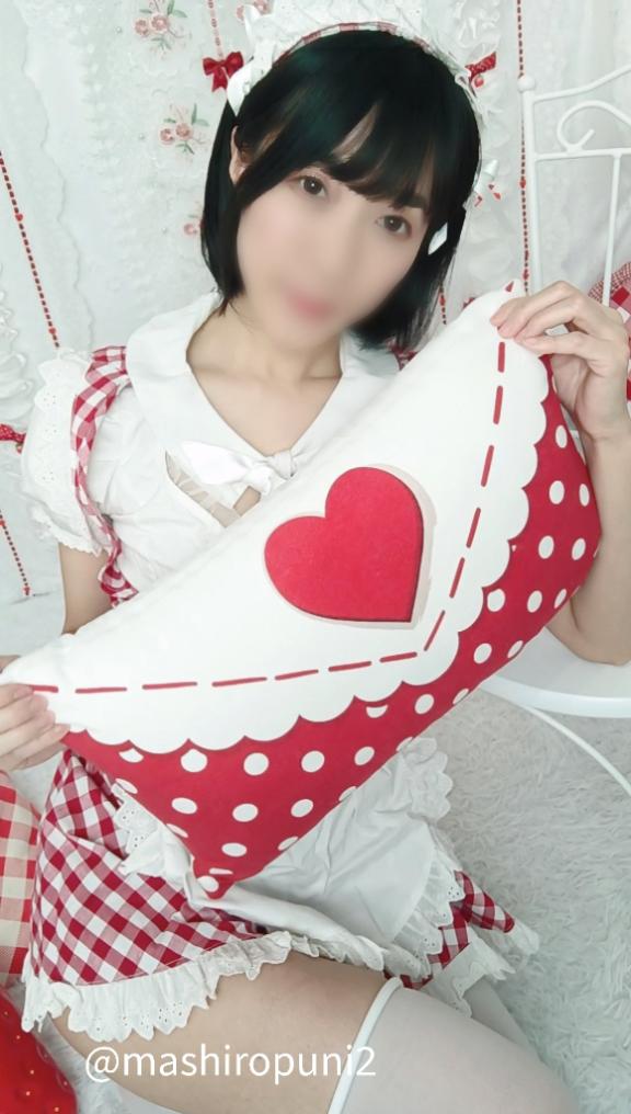 「ましろ」の写真