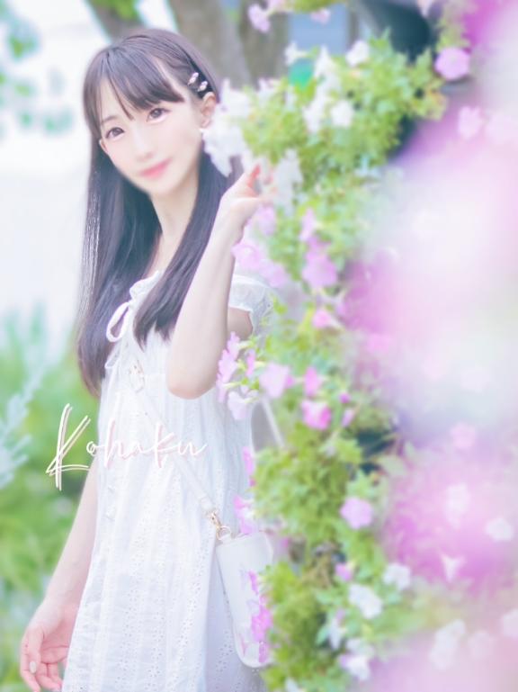 「こはく」の写真