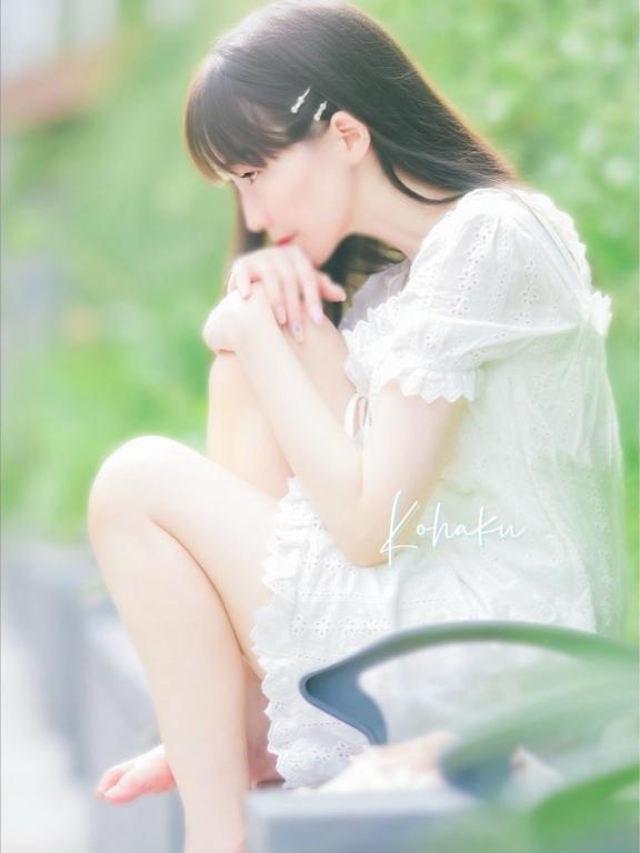 「こはく」の写真