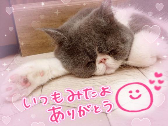 「りおな」の写真