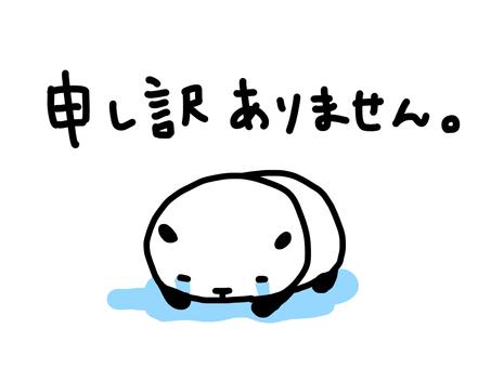 「あまね」の写真