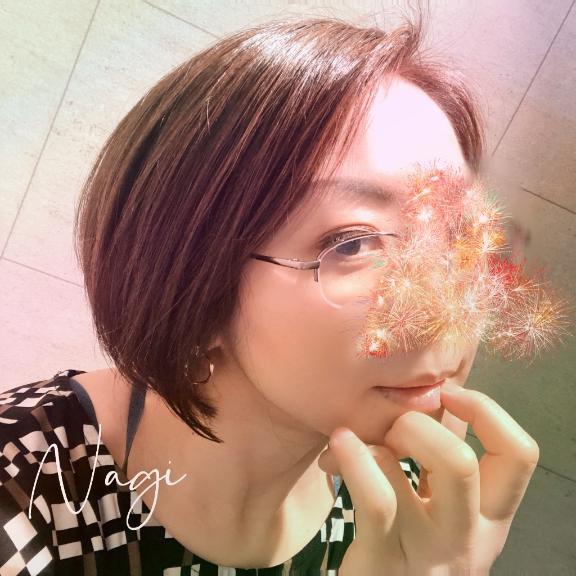 「凪」の写真