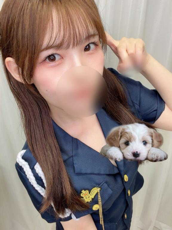 「ひかり」の写真