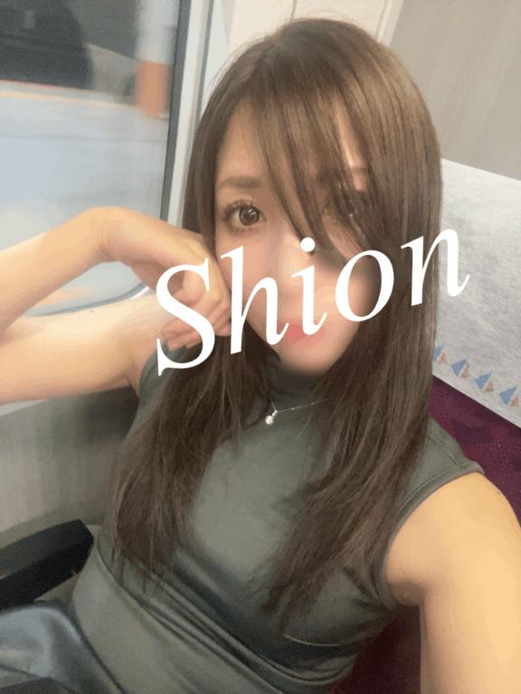 「紫苑（しおん）」の写真