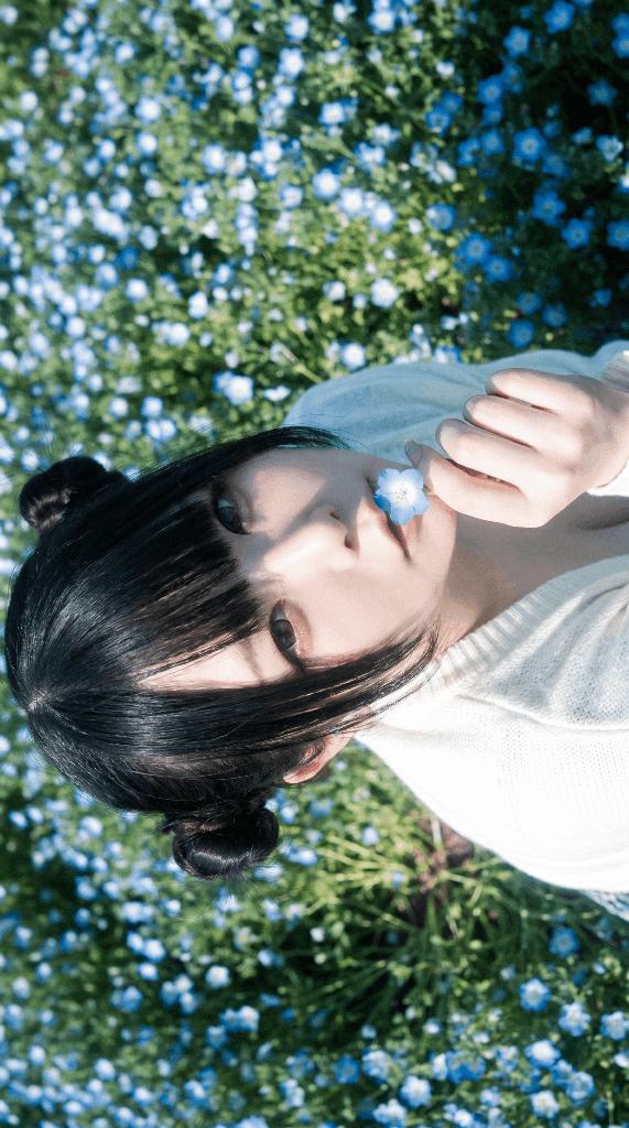 「しのん」の写真