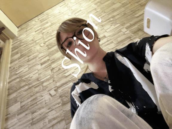 「紫苑（しおん）」の写真