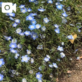 「ろき」の写真