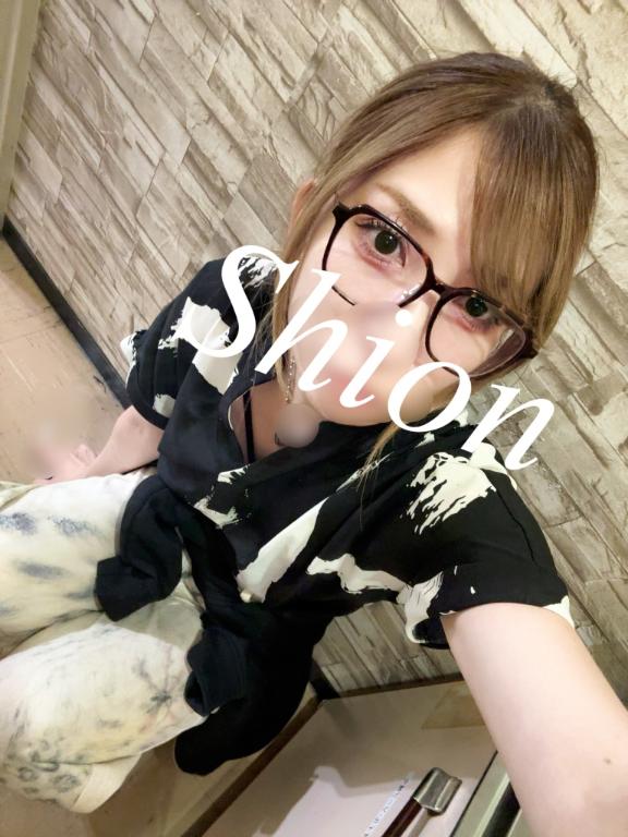 「紫苑（しおん）」の写真