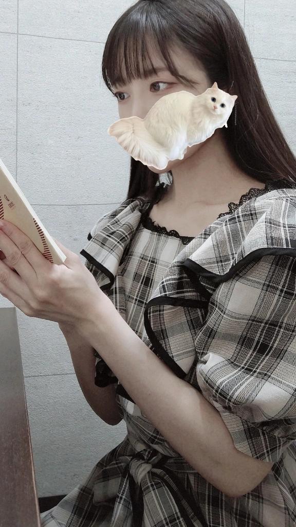 「ことり」の写真