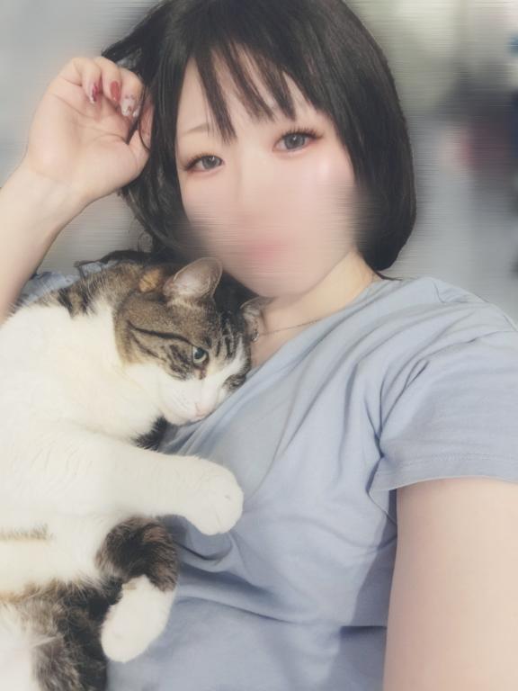 「しのん」の写真