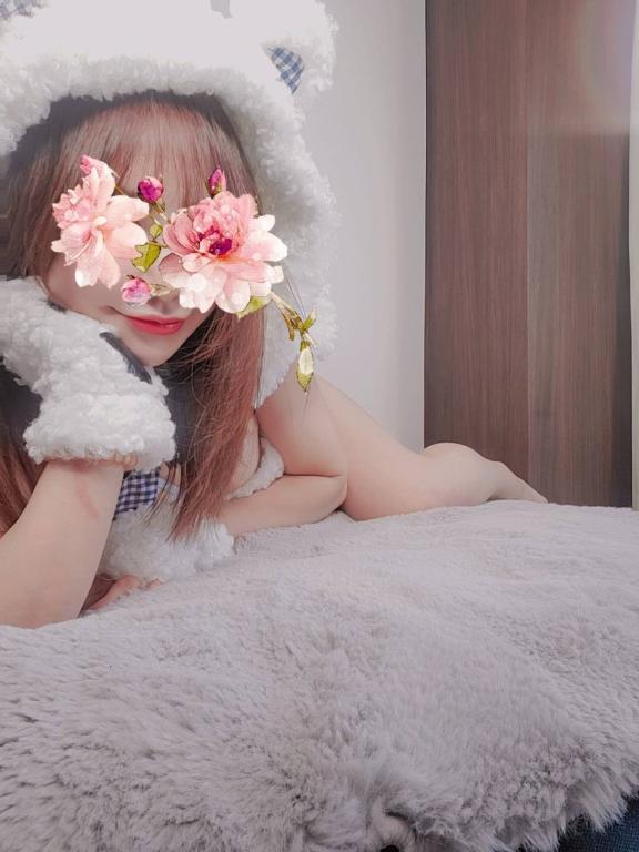 「ありす（ありさ）」の写真