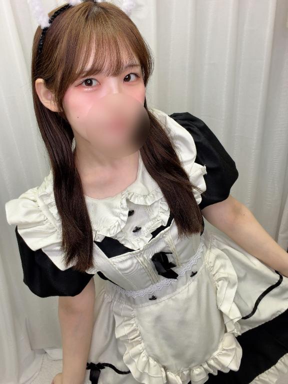「ひかり」の写真