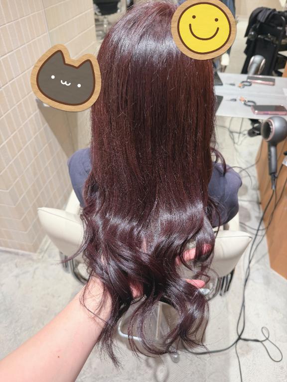 「いずみ」の写真