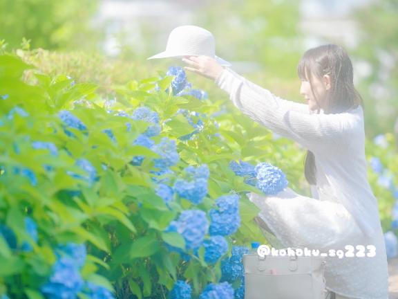 「こはく」の写真