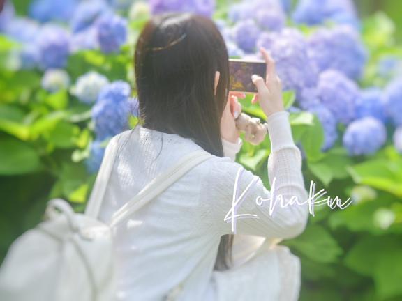 「こはく」の写真