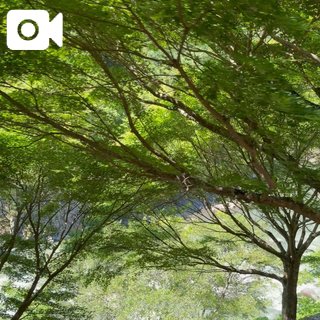 「まり」の写真