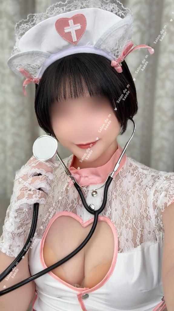 「楓」の写真