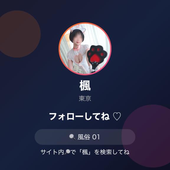 「楓」の写真