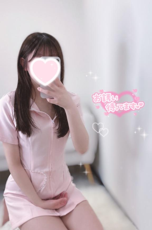 「ねね」の写真