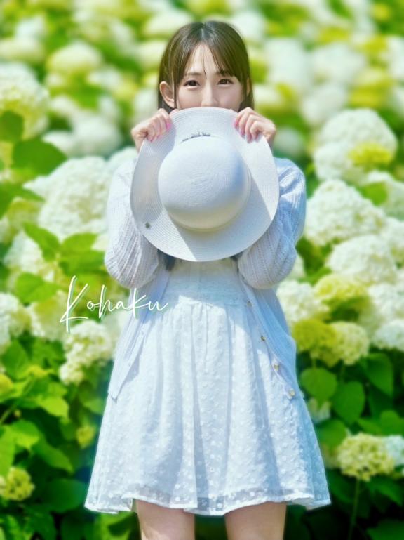 「こはく」の写真