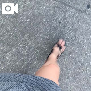 「ひびき」の写真