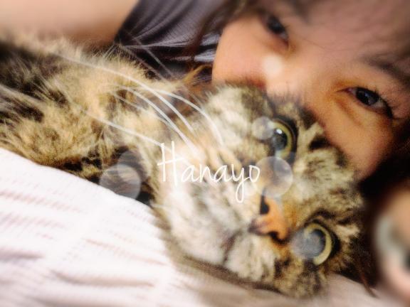 「はなよ」の写真